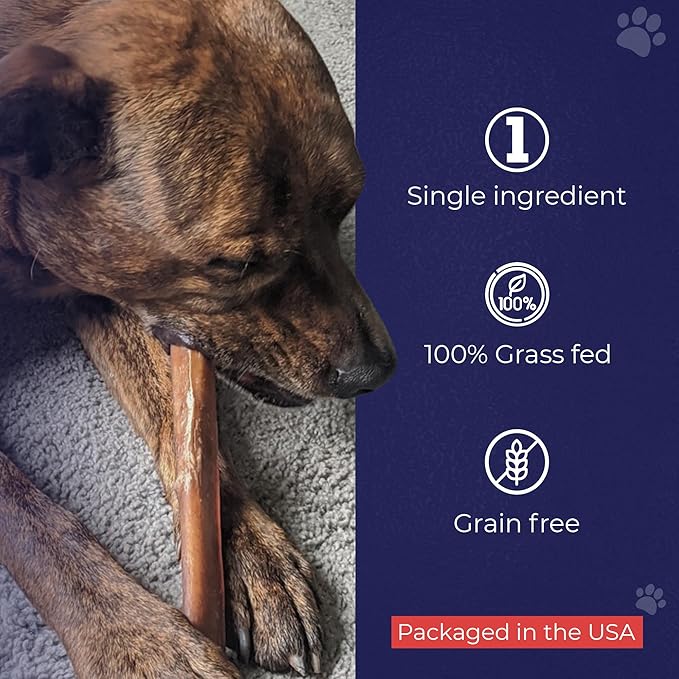 Devil Dog Pet Co. Bully Sticks – 12 Inch, 5 Pack, Standard Sized Dog Chews, 100% Natural, Single Ingredient, Free-Range Grass-Fed Beef – Long Lasting, Rawhide-Free Treats for Dogs