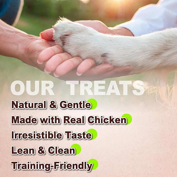 A Freschi srl Chicken Dog Treats, All Natural, Healthy & Easily Digestible, Grain-Free Puppy Chews, Low-Fat, Human Grade Training & Rewards Dog Snacks, Chicken Sticks, 24 oz Pack
