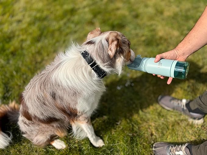 Waggle Bottle Stainless Steel Dog Travel Water Bottle, Vacuum Insulated Portable Dog Water Dispenser, Large Bottle with Drink Cup On The Go, Outdoor Walking, Hiking, Travel (Mint, 22oz)