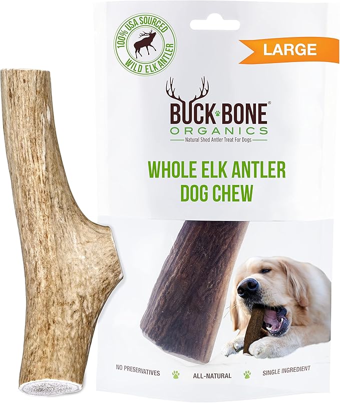 Buck Bone Organics Dog Chews, Elk Antlers for Dogs, Long Lasting Dog Bones for Aggressive Chewers, All Natural, No Preservatives, Wild Shed in The USA (Large)
