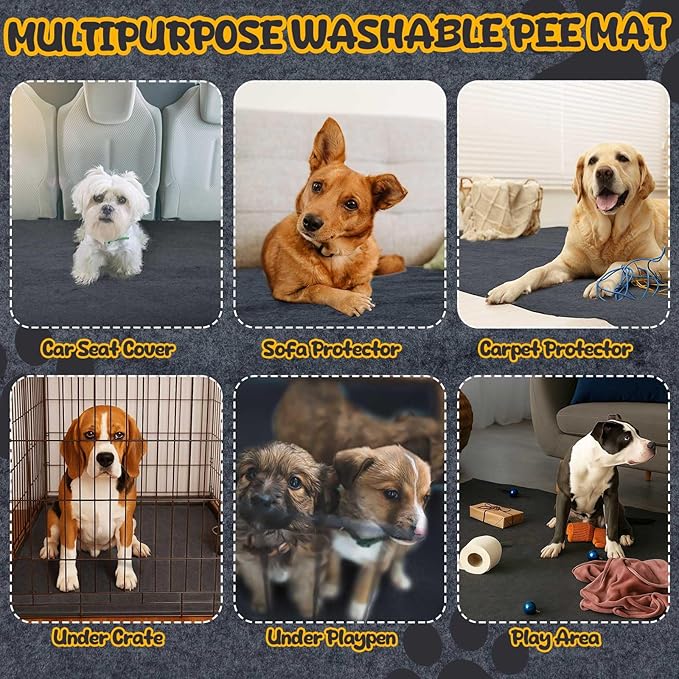 2 Pack Extra Large 60"x74" Reusable Dog Mat Jumbo Waterproof Absorbent Non-Slip Pee Pads Machine Washable Playpen Mat for Training, Whelping, Incontinence, Crate/Kennel Use (Dark Grey) Shinylin