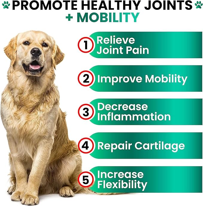 (2 Pack) Hemp Hip and Joint Supplement for Dogs - Glucosamine for Dogs - 340 Joint Pain Relief Treats - Chondroitin, MSM, Hemp Oil - Advanced Health Supplement - Mobility Support Chews - Made in USA