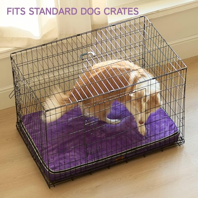 Memory Foam XL Dog Bed - 4” Thick Orthopedic Beds for Extra Large Dogs - Waterproof Dog Bed with Removable Washable Cover & Wrap-Around Zipper - Ultimate Comfort and Easy Maintenance, Purple