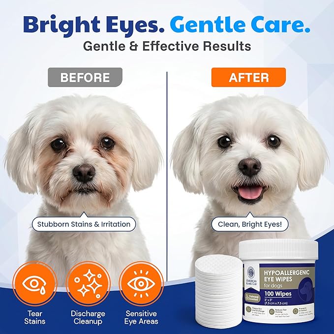 American Kennel Club Pet Eye Wipes for Dogs & Cats – Tear Stain Remover & Eye Discharge Cleaner – Hypoallergenic Grooming Wipes, 100 Count (Oatmeal Scent)