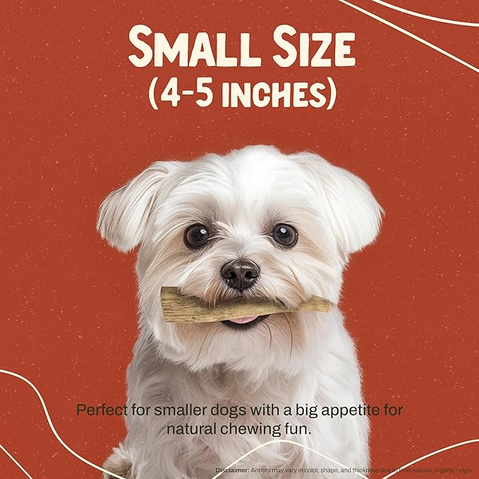 Heartland Elk Antlers for Dogs - Daily Dental Chews for Small Breed Aggressive Chewers to Promote Healthy Teeth & Prevent Destructive Behavior (Whole Elk, 4-5", 2-Pack, USA Made)