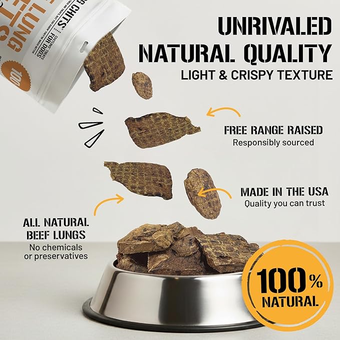 Dog Chits Beef Lung Fillets Dog and Puppy Treats – All Natural Chews for Dogs – Grain-Free, High-Protein, Low Fat Single Ingredient Dog Treat – Ideal for All Dogs – Large, 10 oz – Made in USA