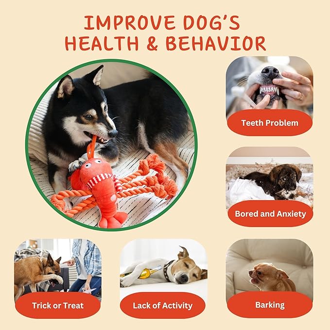 Squeaky Dog Toys, Rope Tug of War Dog Toys, Interactive Lobster Plush Chew Toys, Dog Gifts for Puppy, Small Medium Large Dogs