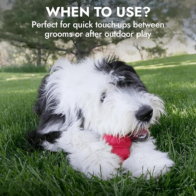 Kong Leave-in Waterless Shampoo for Dogs – Fresh & Clean Scent, 16 fl oz – No-Rinse, Biodegradable, Alcohol-Free, Dye-Free, Cruelty-Free, Gentle on Sensitive Skin, for All Coat Types, Made in USA