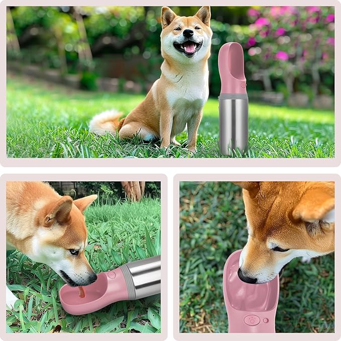 Portable Dog Water Bottle, 14 OZ, Stainless Steel Leak Proof Puppy Water Dispenser with Drinking Feeder for Pets Travel, Walking, Hiking and Outdoor Activities