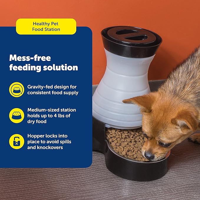 PetSafe Healthy Pet Food Station - Automatic Indoor Gravity Cat & Dog Feeder - Space-Saving Self Feeder - Easy to Clean - Medium - Up to 4 lb Kibble Capacity