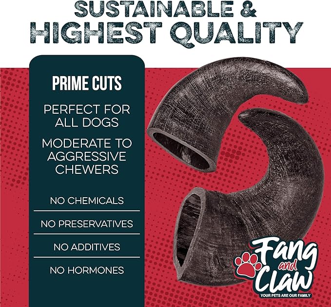 Fang and Claw Water Buffalo Horn Dog Chew 4 Pack (Medium 6 Inch), Long-Lasting Natural Chews for Aggressive Chewers, Single-Ingredient, No Rawhide