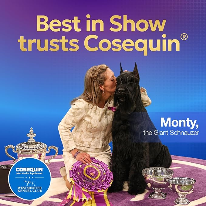 COSEQUIN Maximum Strength Joint Supplement Plus MSM & Omega-3's - With Glucosamine and Chondroitin - For Dogs of All Sizes (Soft Chews)