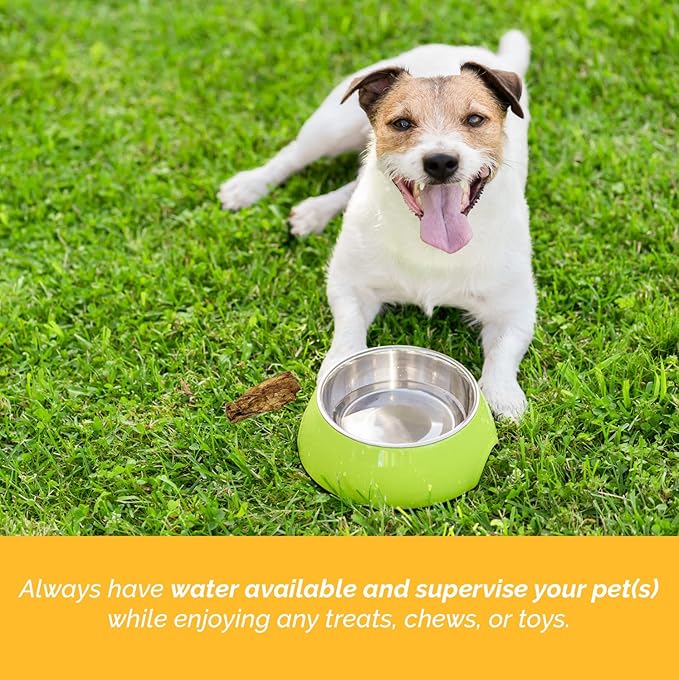 123 Treats Dog Bones for Dogs, 100% Natural Rib Bone Beef Chews from Grass Fed Cattle 7-9" (8 Count) Dog Treats and Breeds, Tasty Long Lasting Chews