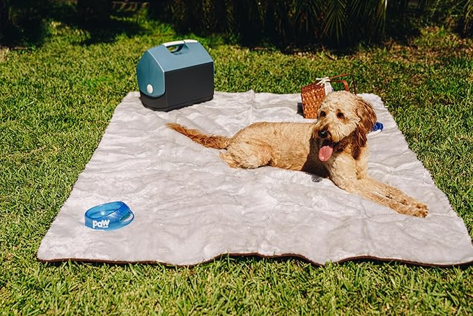 PupProtector Waterproof Throw Blanket for Dogs and Cats, Pet Blanket Cover for Couches, Sofas, Beds, Car Seats, Furniture, Calming Soft Faux Fur, Short Grey, Large (80" L x 62" W)