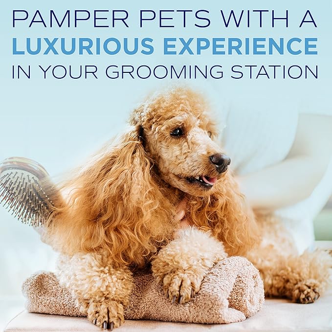 TropiClean SPA Tear Stain Remover for Dogs | Blueberry Facial Shampoo| Odor Eliminator | Tearless | Whitening and Brightening | Made in USA | 2.5 Gallon