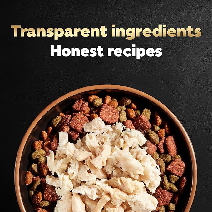 Cesar Simply Crafted Adult Wet Dog Food Toppers for Dry Food, Chicken, 1.3 oz Tubs, 24 Count