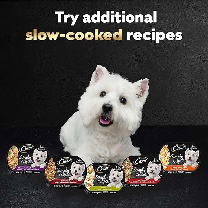 Cesar Simply Crafted Adult Wet Dog Food Toppers for Dry Food, Chicken, 1.3 oz Tubs, 24 Count